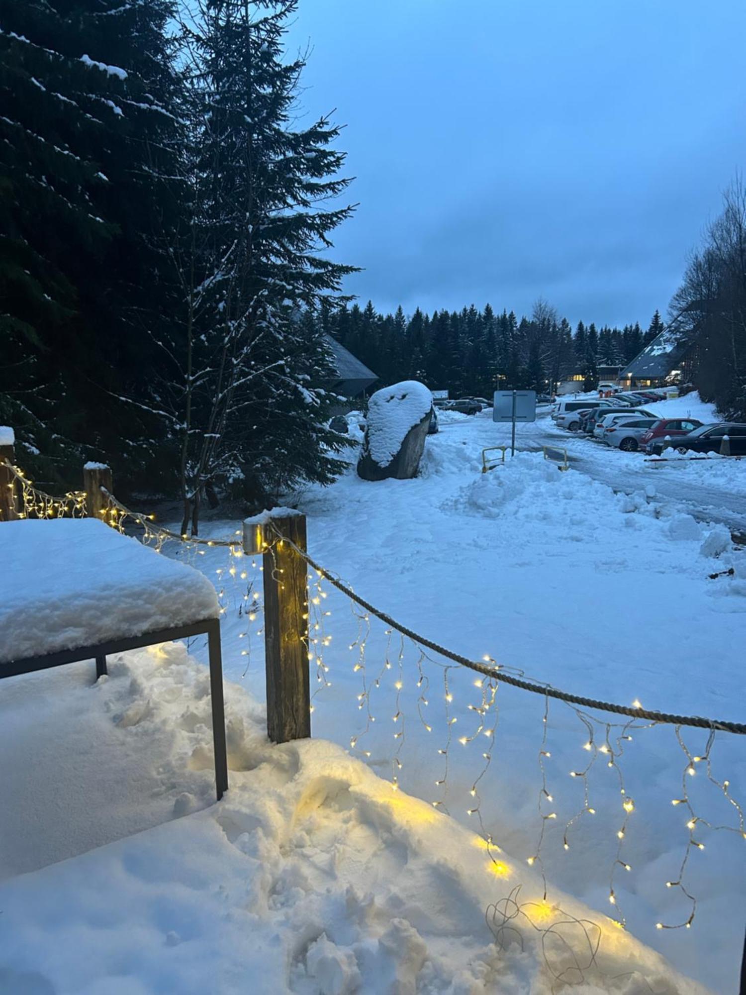 Horsky Chalet Harrachov Bagian luar foto